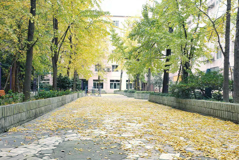 成都医养结合机构推荐，让晚年生活更安心